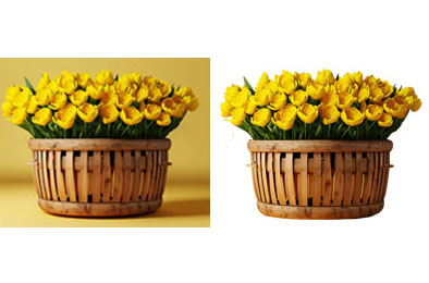 Simple Clipping Path Service
